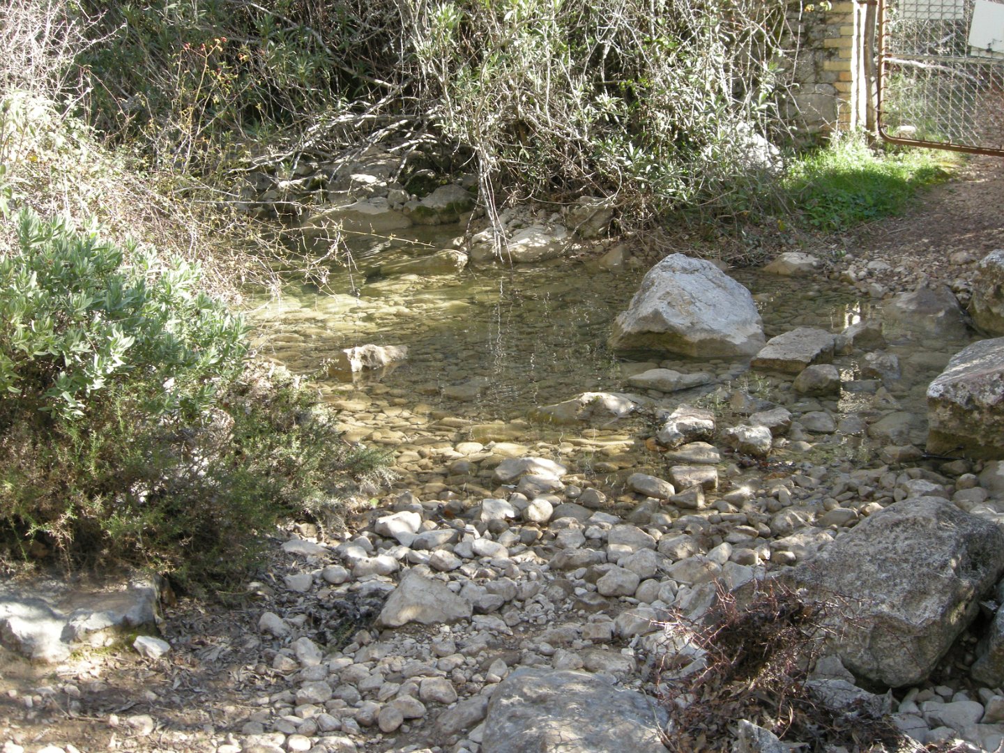 Grazalema_2018 382